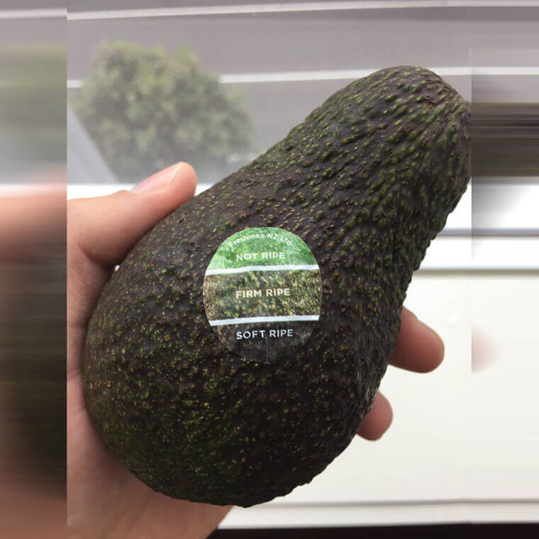 Helping Avocado Lovers