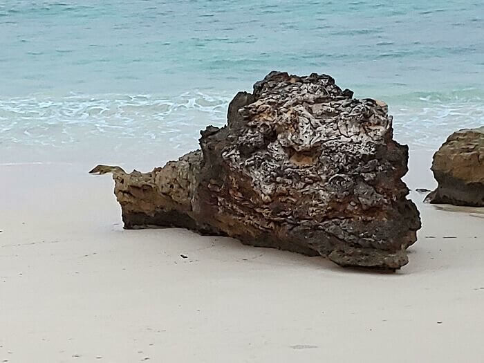 A Rock That Looks Like A Dragon's Head