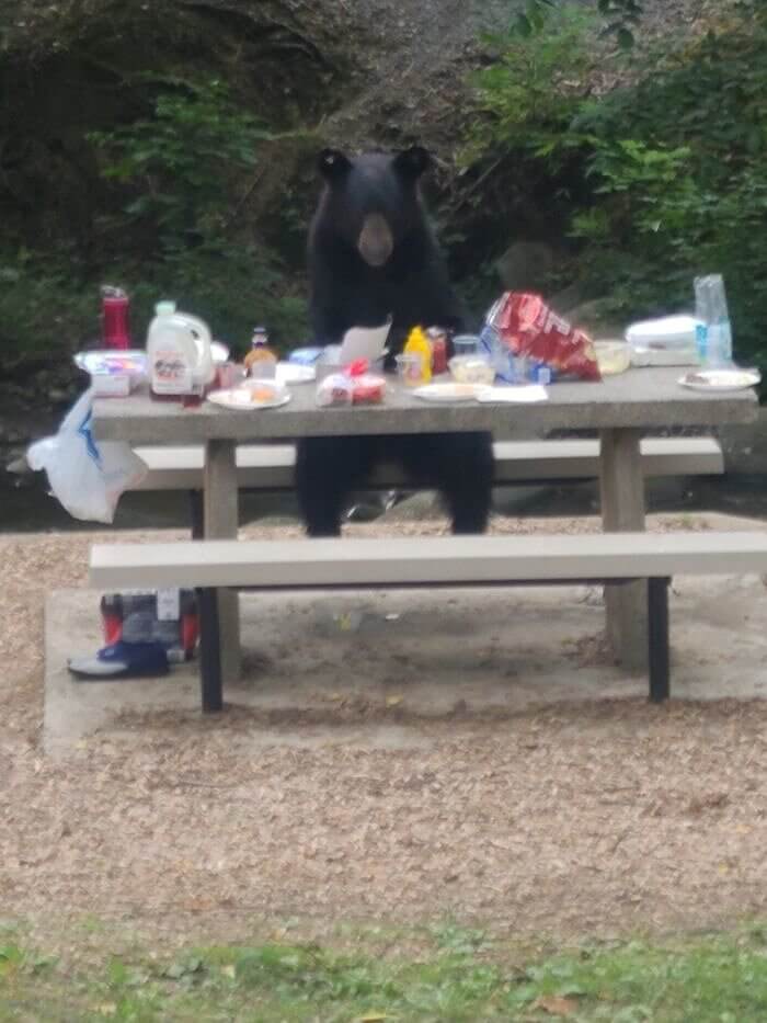 What's For Lunch?