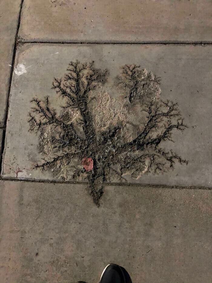 A Lightning Mark