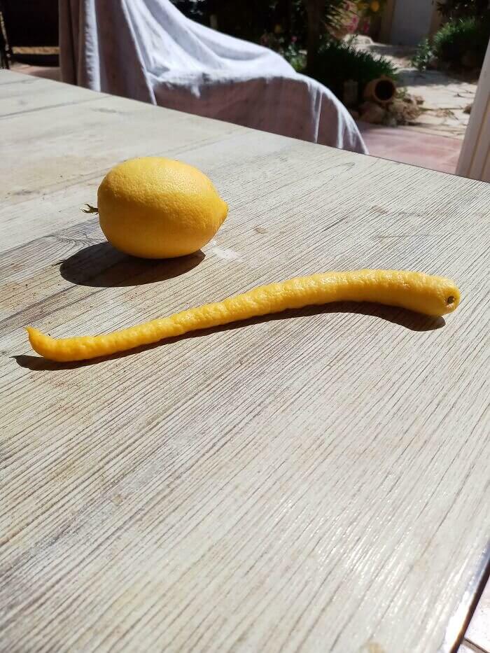 This Lemon Wanted To Be A Carrot