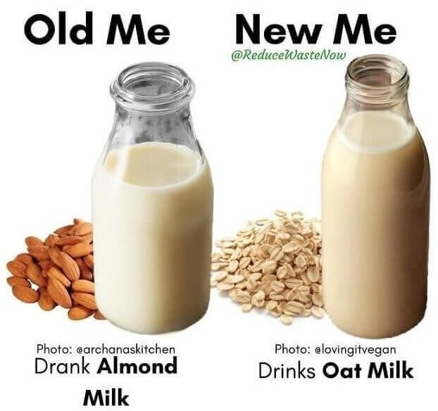 The Secret's Out: Oatmeal Is Better