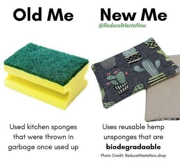Biodegradable Sponges Keep The Kitchen Green