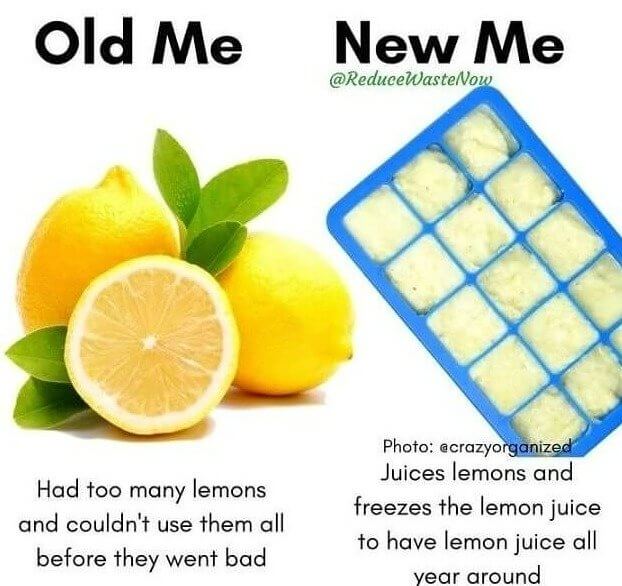 Who Wants Fresh Lemonade?