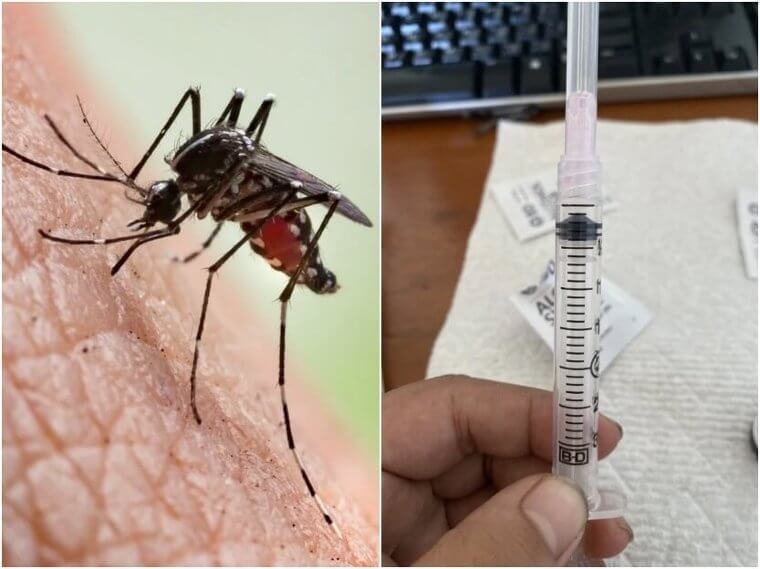 Mosquitoes – Surgical Needles