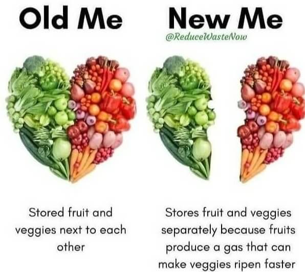 Make Veggies Last, Put Waste In The Past