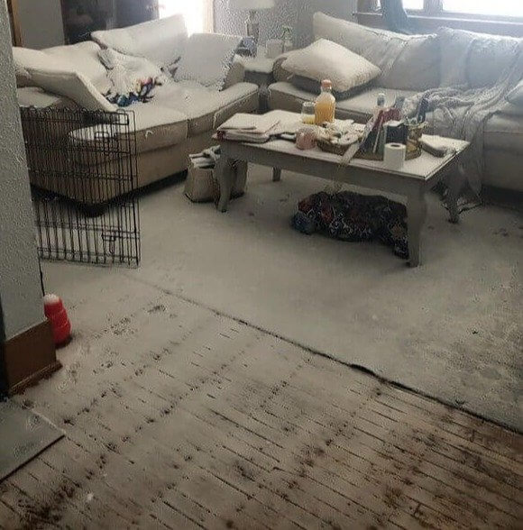 Never Thought You Could Shovel Snow in Your Living Room