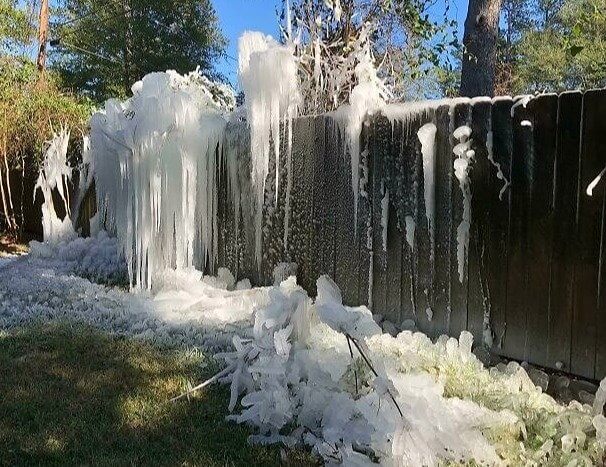 Don't Let the Green Trees Fool You, Temperatures Are Below Freezing