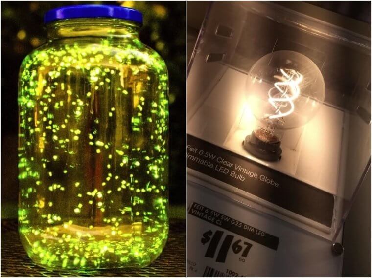 Fireflies – LED Light Bulbs