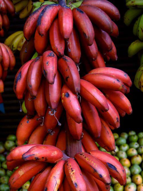 Raspberry Banana Fruit