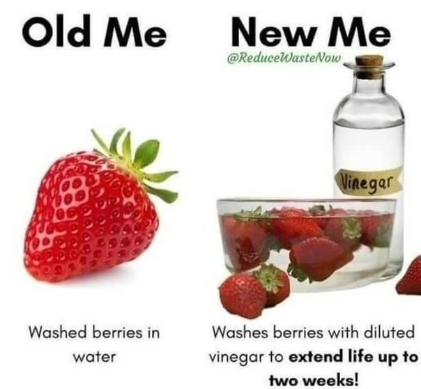 Washing Berries The Right Way Can Keep Them Fresh