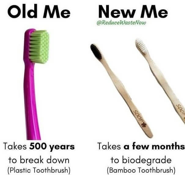 Bamboo Toothbrushes Are A Safe, Effective Alternative