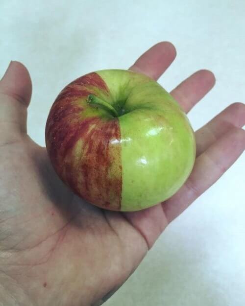 For When You Can't Decide What Kind of Apple to Buy