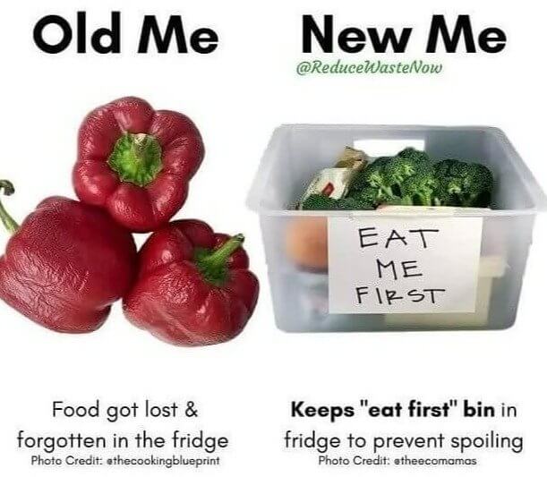 This Food Storage Idea Will Save You Some Serious Money