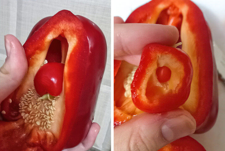 A Big Pepper With Tiny Secrets