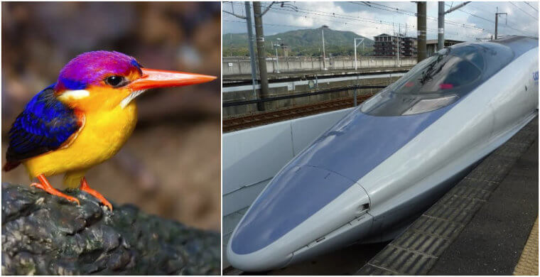 Kingfishers – Trains