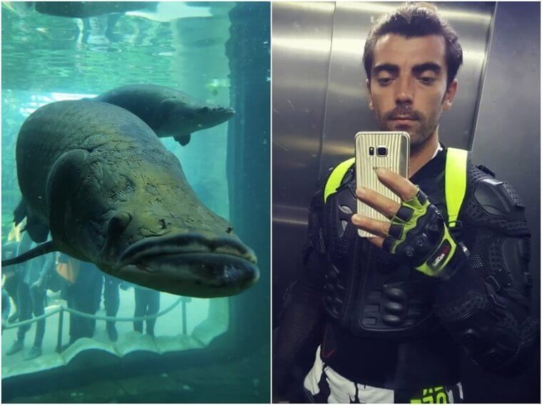 Arapaima Fish – Body Armor