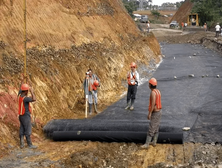 These Workers Found A Giant Snake –  Look at What They Found Inside!